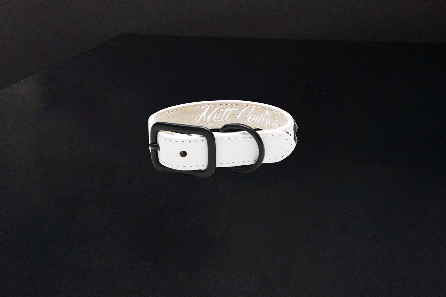 White Leather Dog Collar with Black Studs