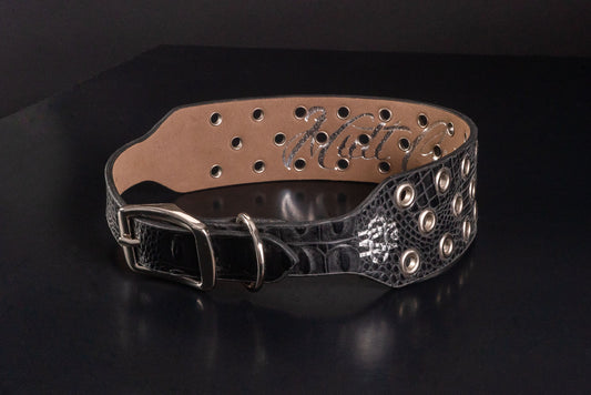 Faux Black Croc Dog Collar With Chrome Eyelets