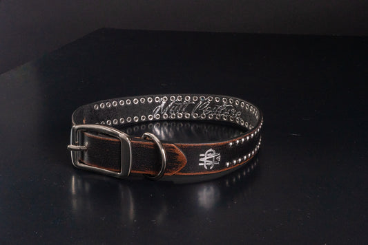 Distressed Leather Dog Collar With Silver Nailheads