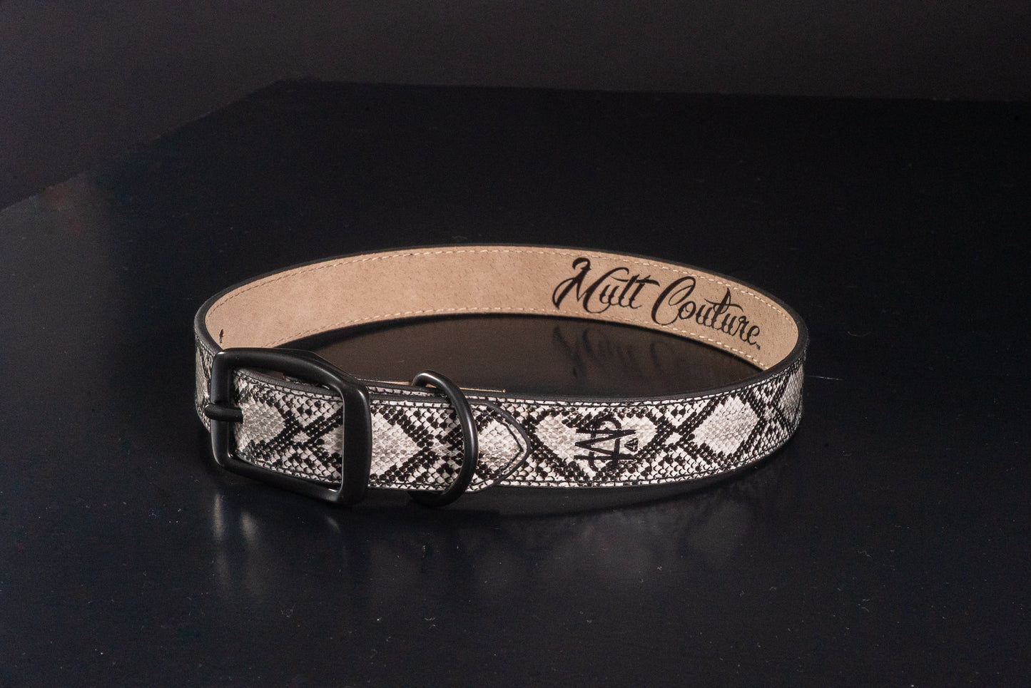 Albino Python Leather Dog Collar