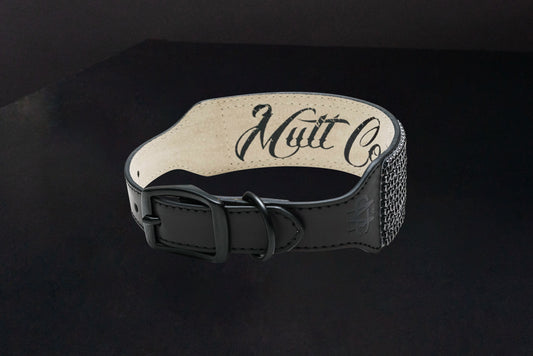 Black Diamond Leather Collar