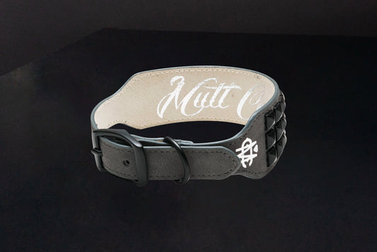 Smoke Leather Dog Collar with Black Studs