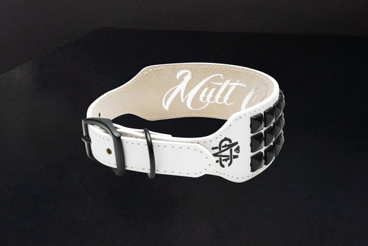 White Leather Dog Collar with Black Studs