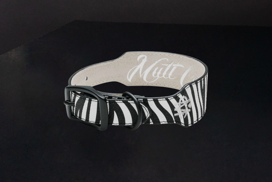 Zebra Print Leather Dog Collar