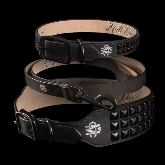 Black Studded Dog Walk Set