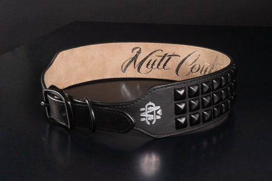 Black Leather Dog Collar with Black Studs