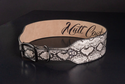 Albino Python Leather Dog Collar