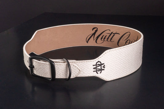 White Snake Leather Dog Collar