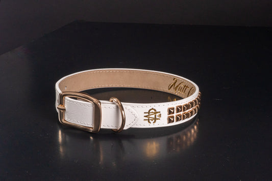 White Leather Dog Collar With Gold Studs