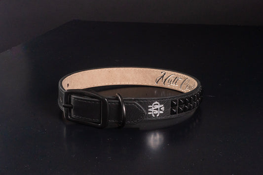 Black Leather Dog Collar with Black Studs